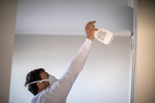 Best Post-Flood Mold Remediation in Dysart, IA